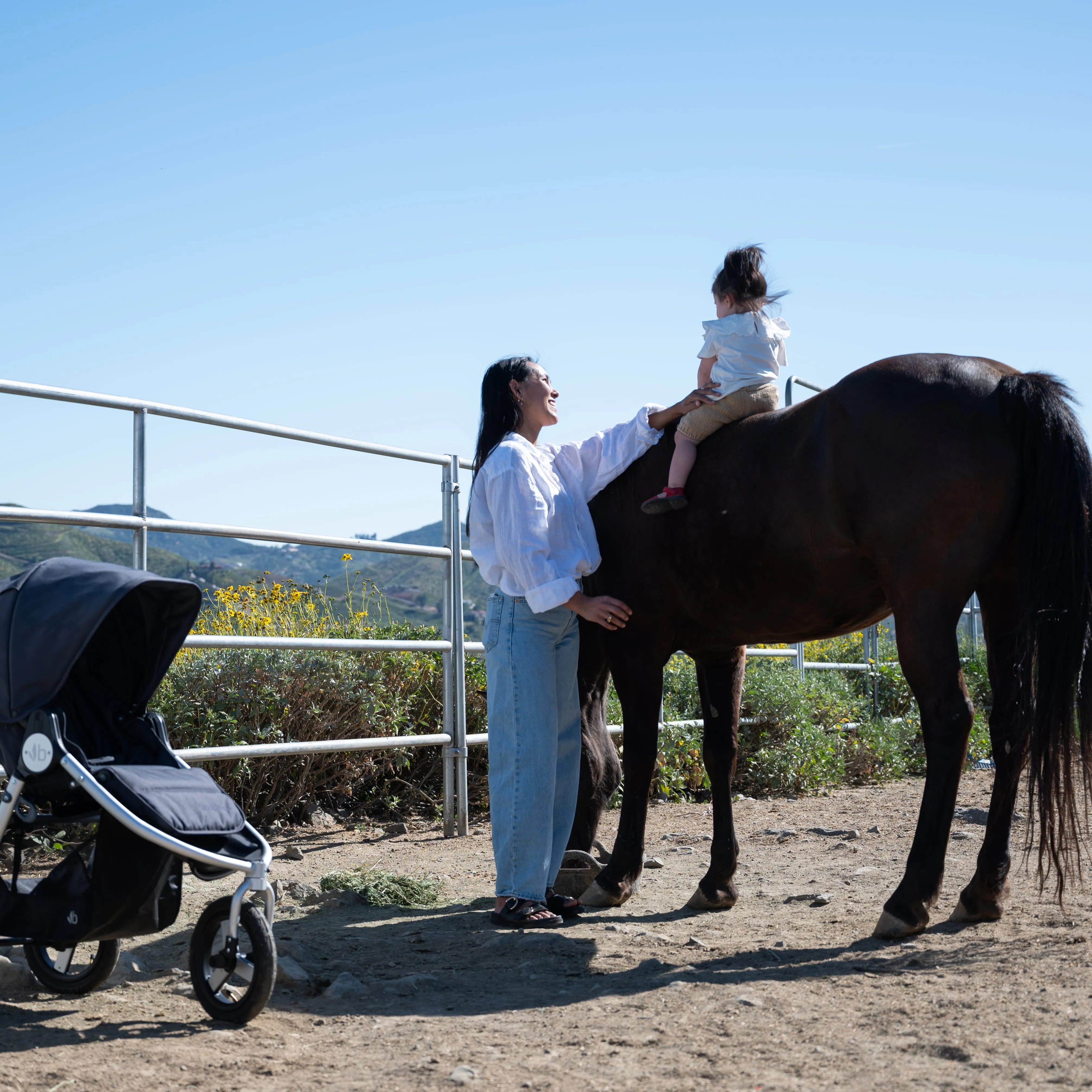 Bumbleride Indie All-Terrain Stroller