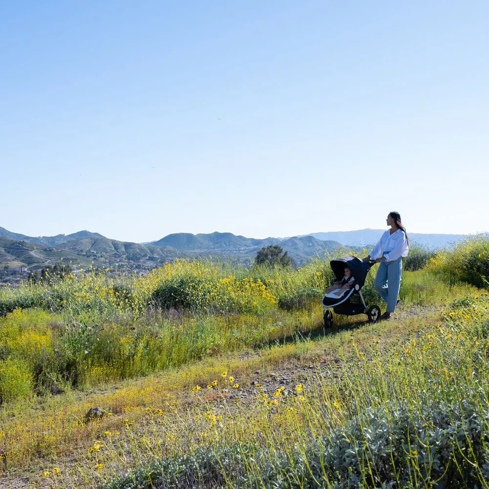 Bumbleride Indie All-Terrain Stroller