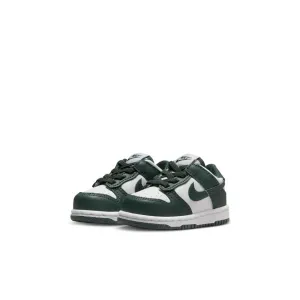 Y Nike Dunk Low FB9107-120