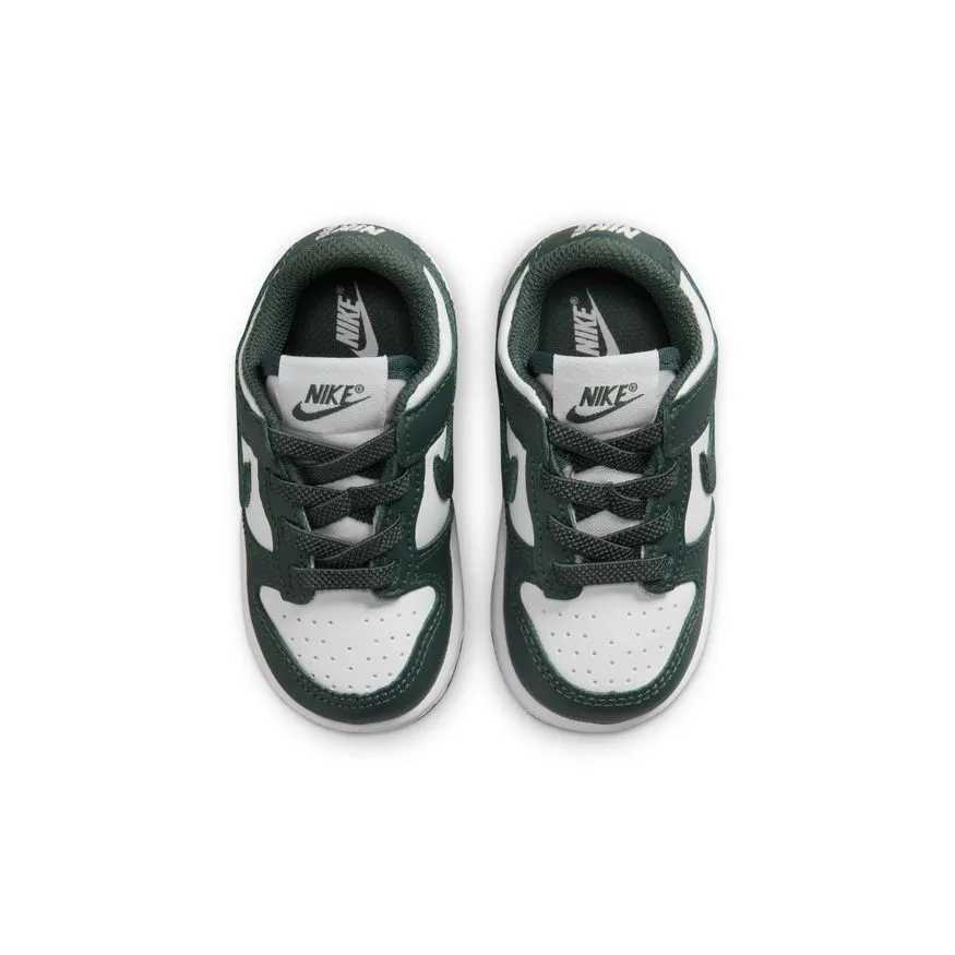 Y Nike Dunk Low FB9107-120